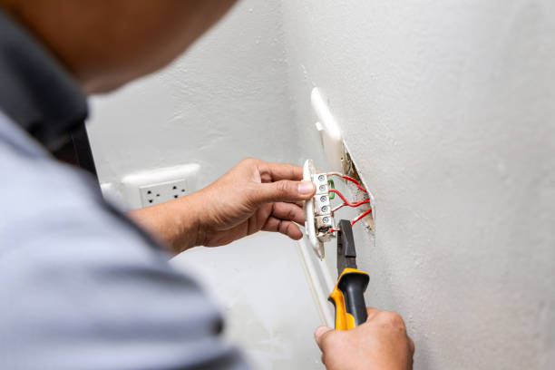 Best Electrical Repair Services  in Pinckneyvle, IL