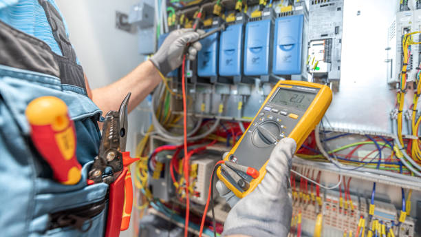 Best Electric Panel Repair  in Pinckneyvle, IL