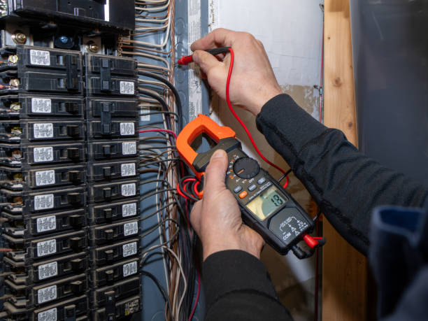 Best Licensed Electrician  in Pinckneyvle, IL