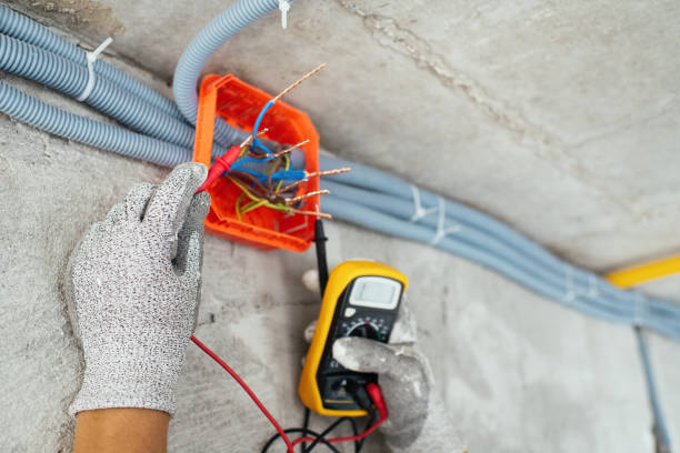 Best Electrical System Inspection  in Pinckneyvle, IL