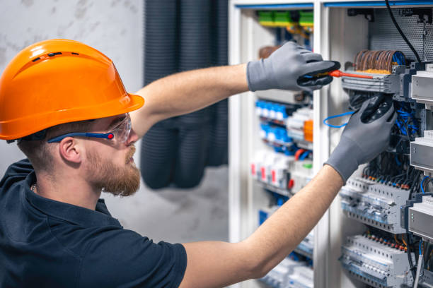 Best Electrical Troubleshooting Services  in Pinckneyvle, IL