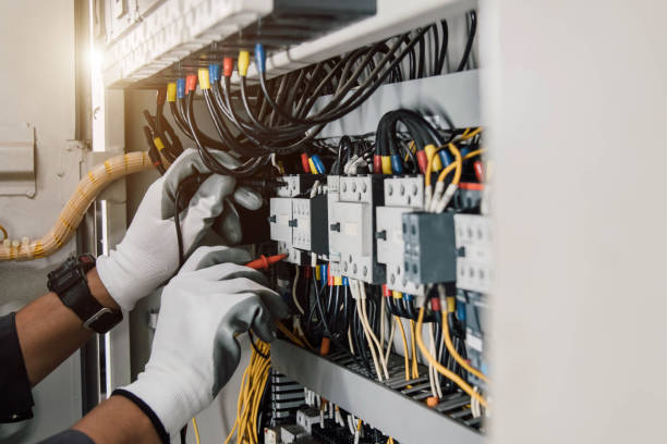 Best Licensed Electrician  in Pinckneyvle, IL