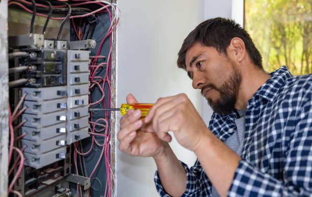 Best Residential Electrician Services  in Pinckneyvle, IL